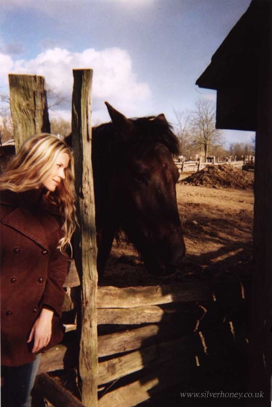 Charlotte & Horse